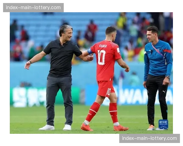 无缘世界杯后，瑞士主力门将索默宣布退出国家队